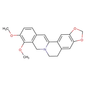 Dihydroberberine